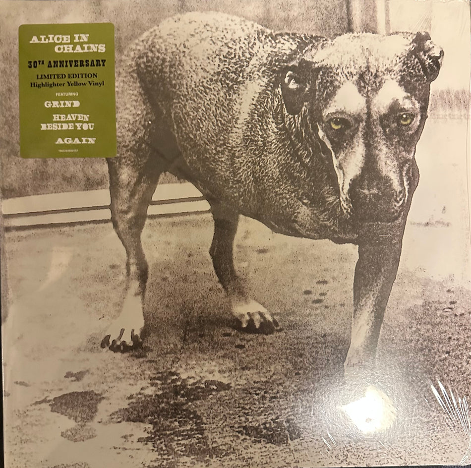 Alice In Chains - Self Titled - 2LP Colored Vinyl Gatefold - 30th Anniversary Edition