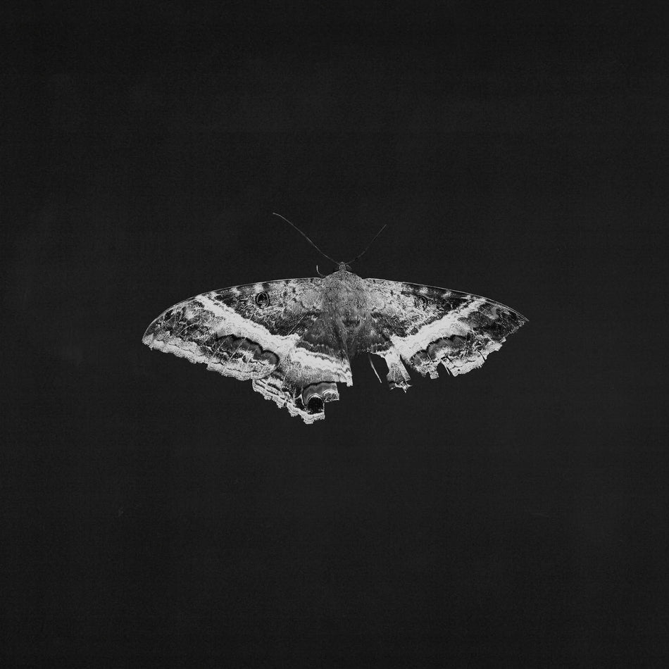 Kendrick Lamar - To Pimp a Butterfly- 2LP Gatefold - 10th Anniversary - Colored Vinyl - Alternate Artwork