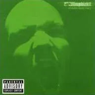 Limp Bizkit - Results May Vary - 2LP Colored Vinyl